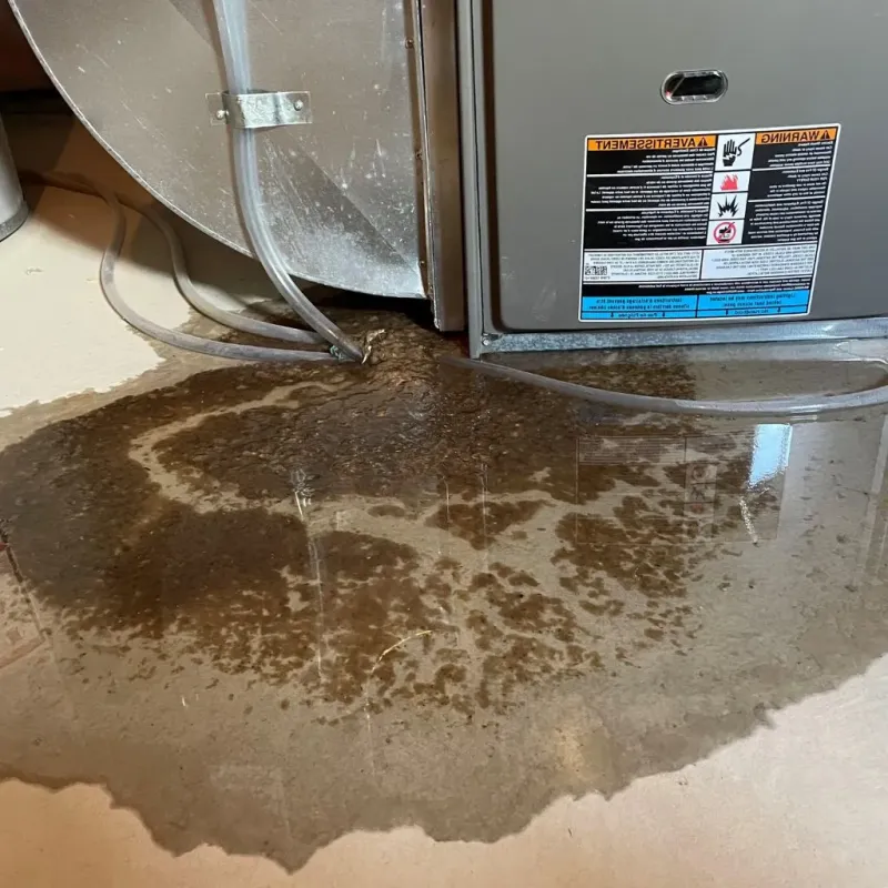 Pipe Burst and Leak Restoration in Virginia City, NV